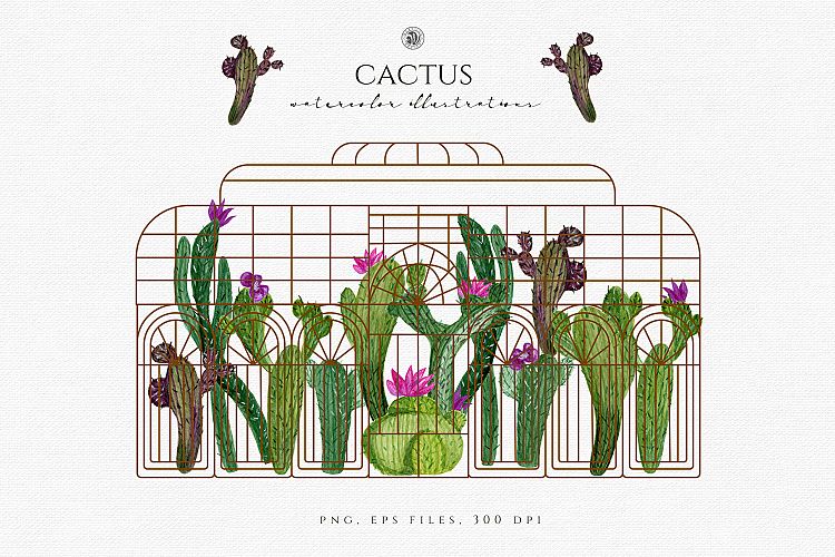 Cactus Watercolor Illustrations