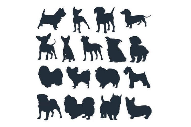 Dog Silhouette Embroidery Bundle Small Dog Breed Set of 17