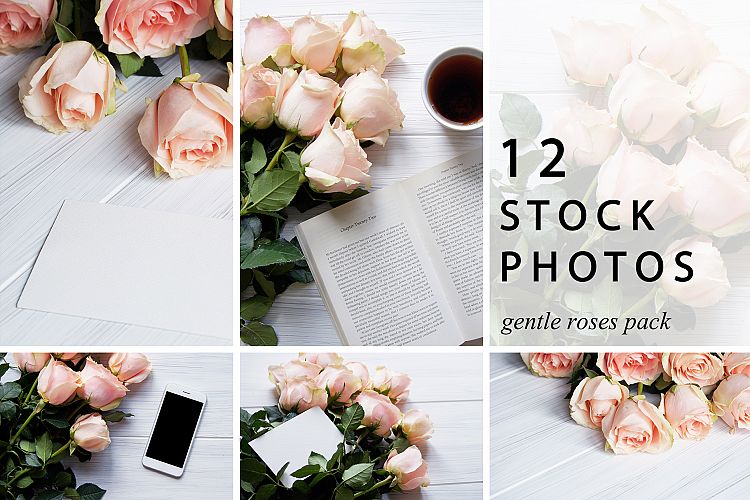 Gentle Roses Stock Photos Pack