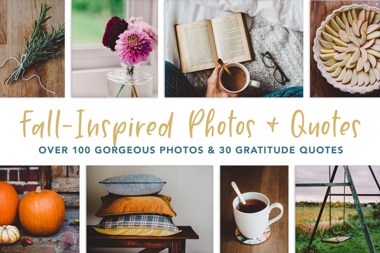 Fall-Inspired Photos & Quote Bundle