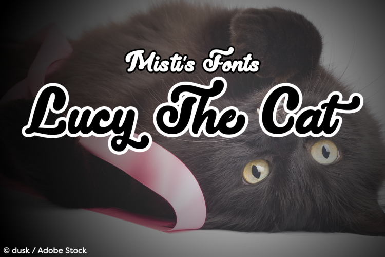 Lucy The Cat