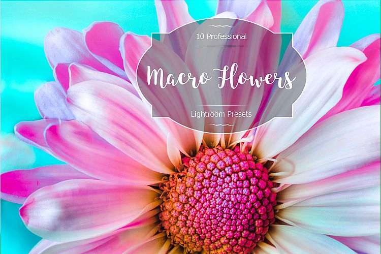 Macro Flowers Lr Presets