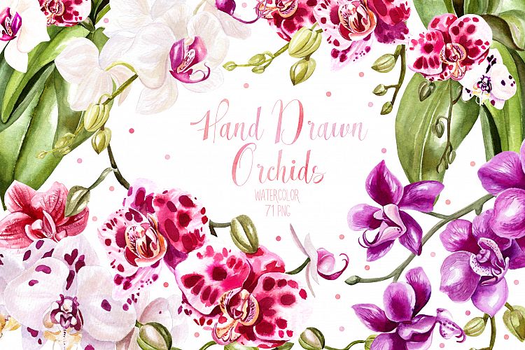 Hand Drawn Watercolor Orchids 2