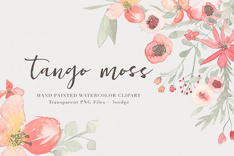 Watercolor Floral Clipart - Tango