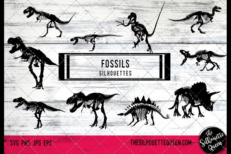 Fossils of Dinosaur svg files cricut, silhouette clip art, V