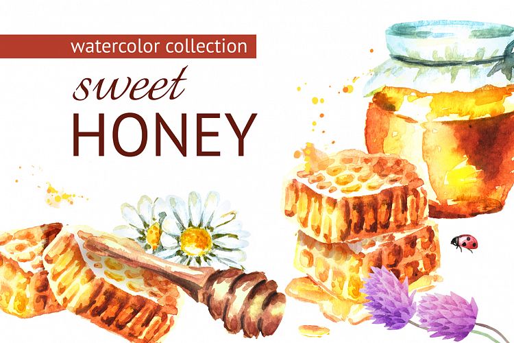 Sweet honey. Watercolor collection