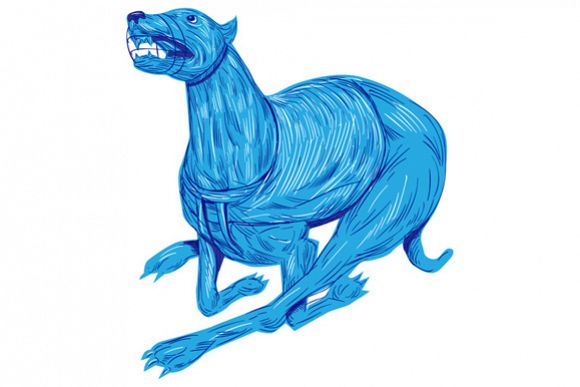 Greyhound Dog Racing Drawing example image 1
