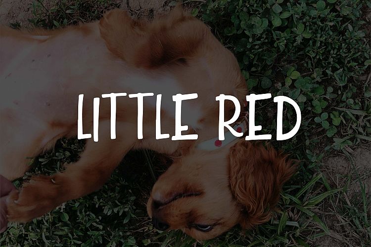 Little Red