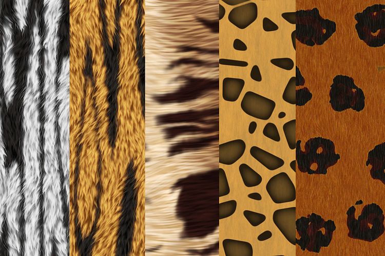 Animal fur textures