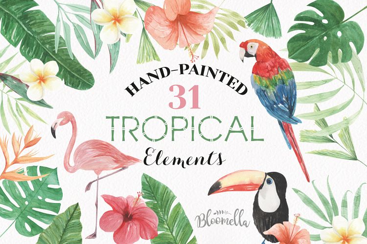 Watercolor Tropical Clipart Elements Flowers Floral Hibiscus Flamingo Set