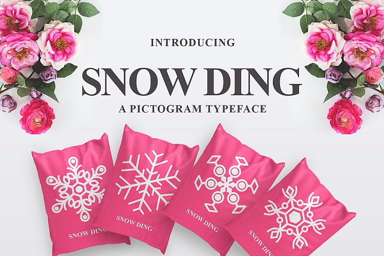 Snow Ding