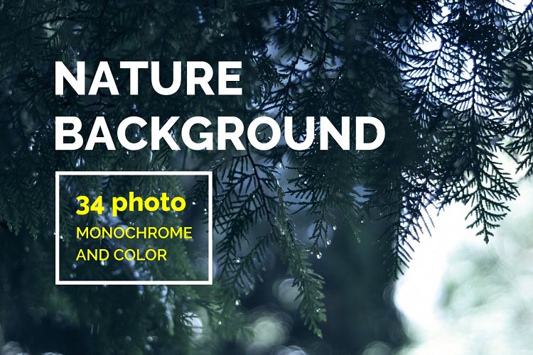 34 Nature background photo