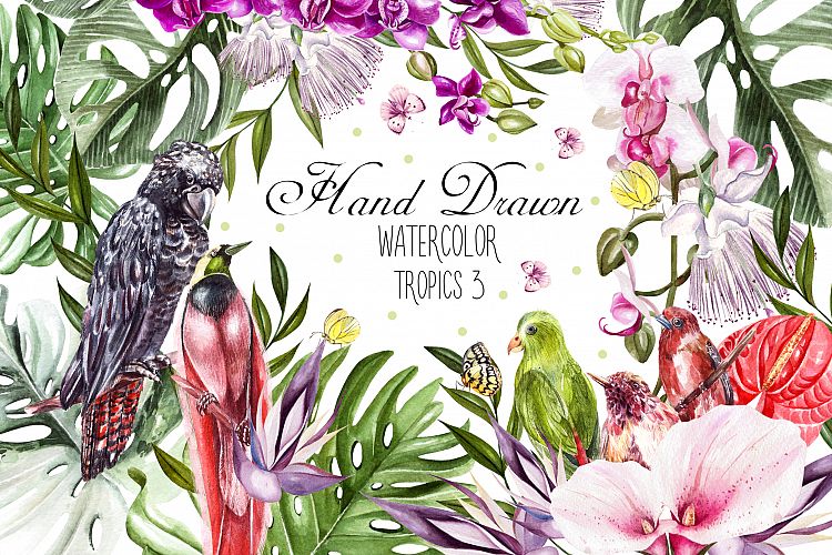 Hand Drawn Watercolor Tropic 3