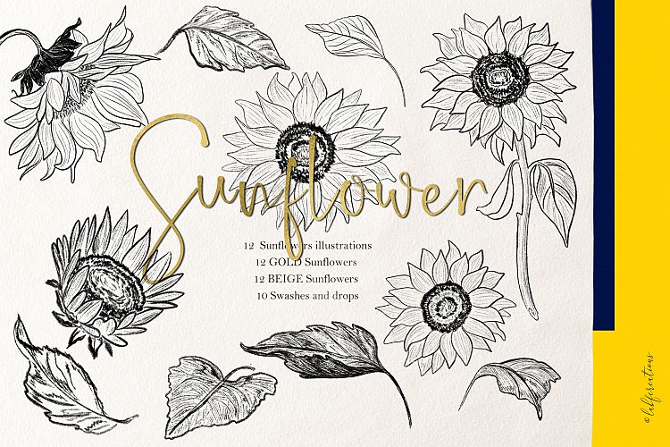 Sunflowers. Fine art. Sketch Outline