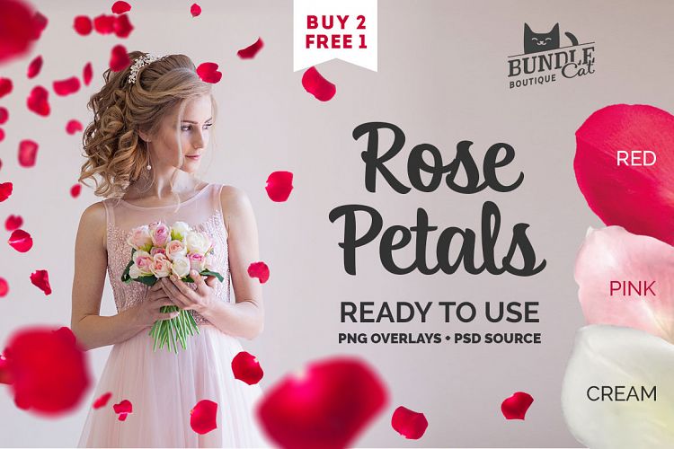 21 Rose Petal Photoshop Overlays