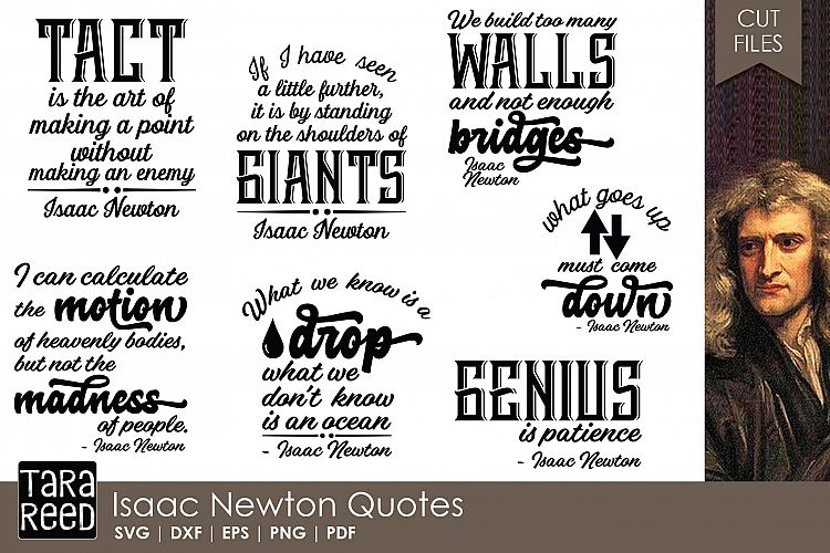 Isaac Newton Quotes - Quote SVG and Cut Files for Crafters