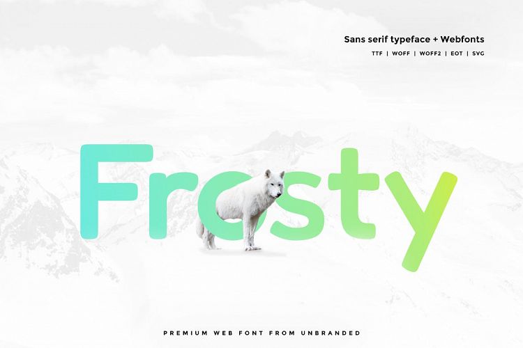 Frosty - Modern Typeface with WebFonts