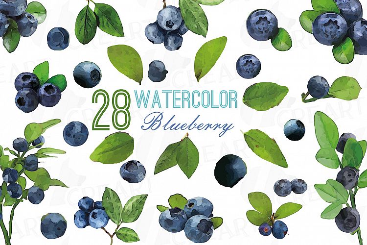 Watercolor blueberry, branch and leaves vector clip art pack