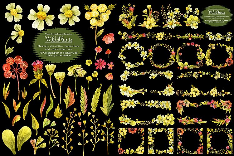 Wild Plants