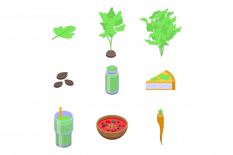 Parsley icons set, isometric style example image 1