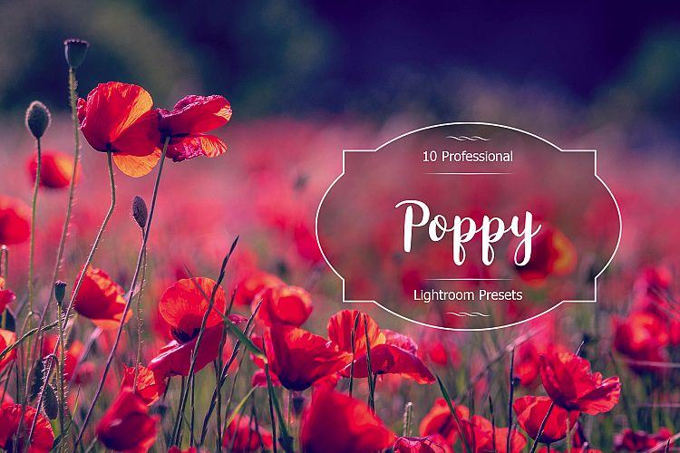 Poppy Lr Presets