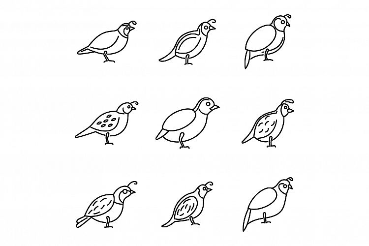 Quail bird icons set, outline style