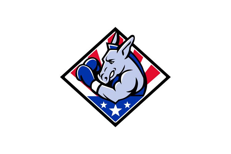 American Donkey Boxer USA Mascot