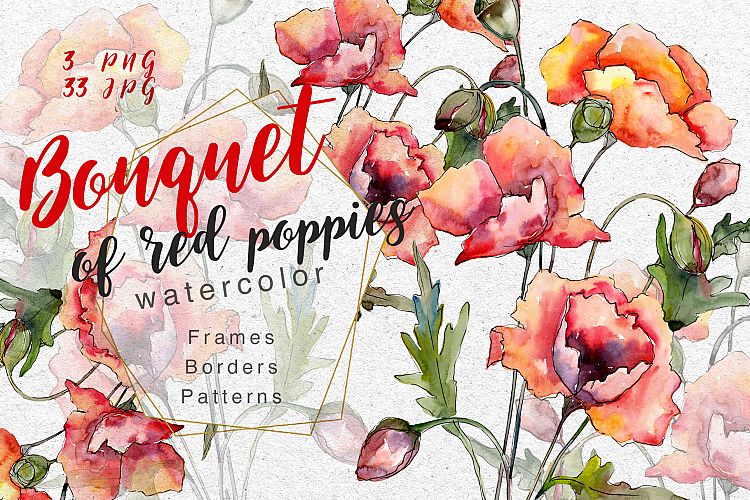 Bouquet of red poppies PNG watercolor set
