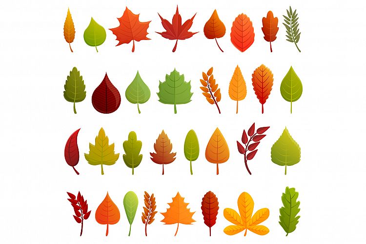 Autumn leaves icons set, cartoon style example image 1