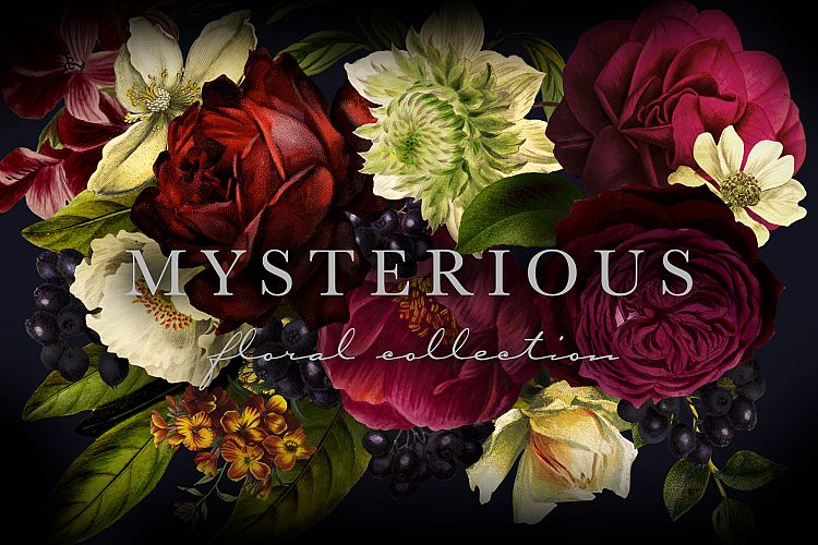 Mysterious Floral Collection Clip Art Graphics