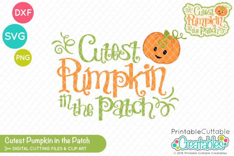 Cutest Pumpkin in the Patch SVG