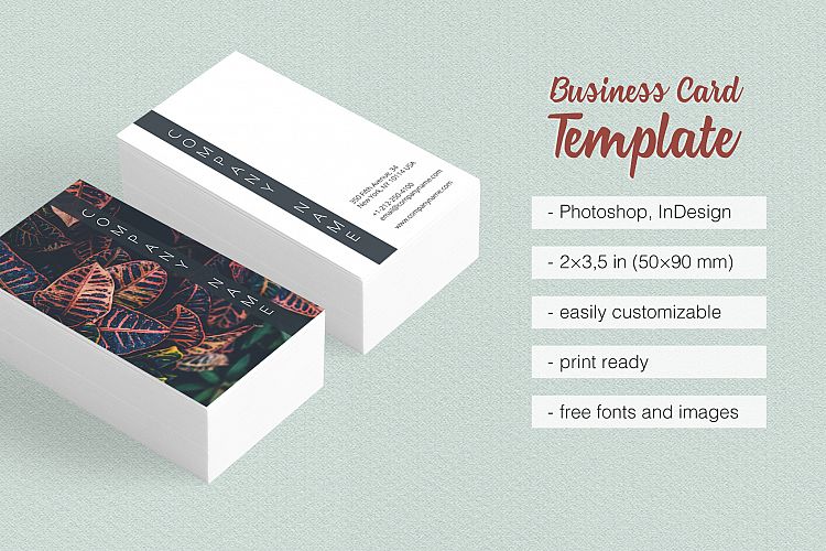 Asian Dream Business Card Template 2
