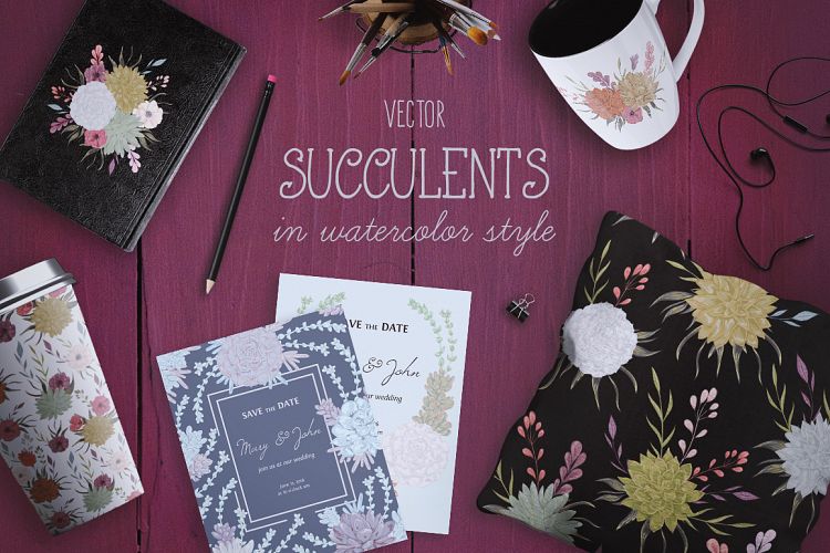 Vector watercolor succulents set