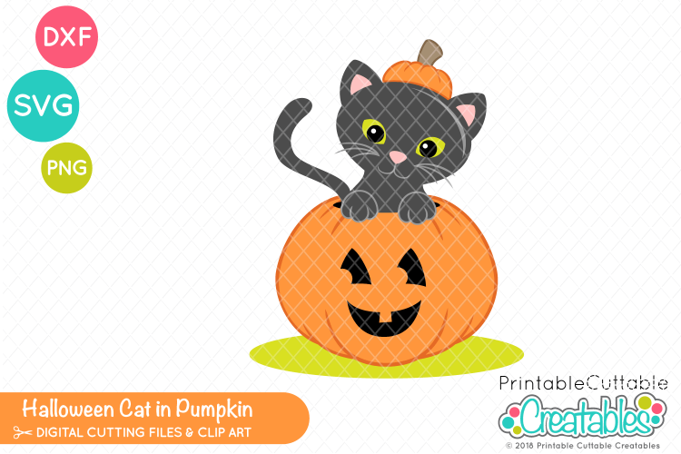 Halloween Cat in Pumpkin SVG