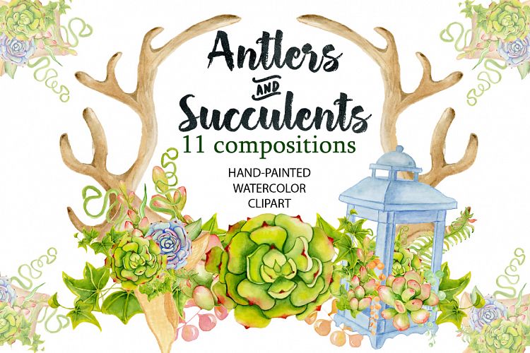 Watercolor Antlers and succulents