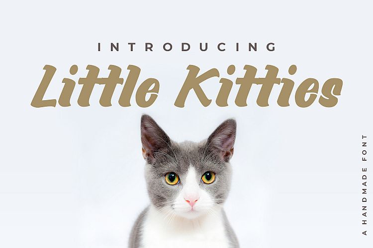 Little Kitties