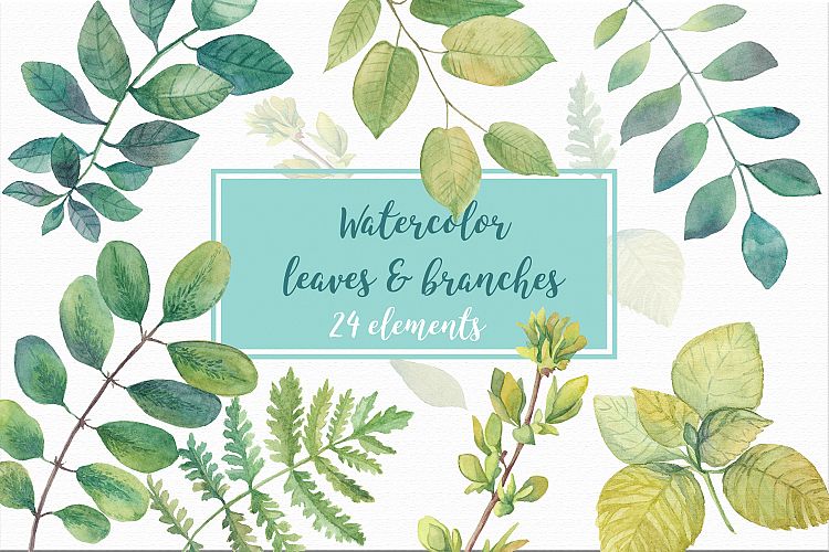 Watercolor leaves & branches