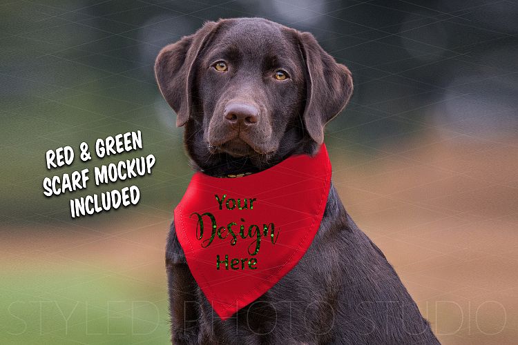 Dog Scarf Mockup, Holiday Dog Scarf Mockup Red and Green