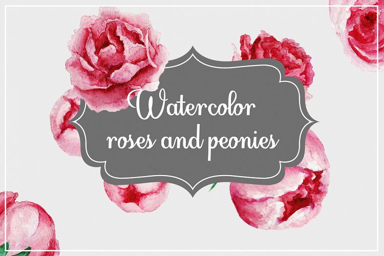 Watercolor roses and peonies