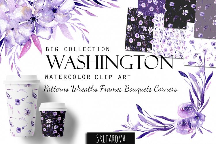 Washington. Big purple collection.