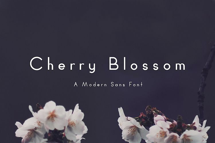 Cherry Blossom