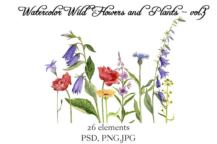 Watercolor Wild Flowers and Plants vol.3