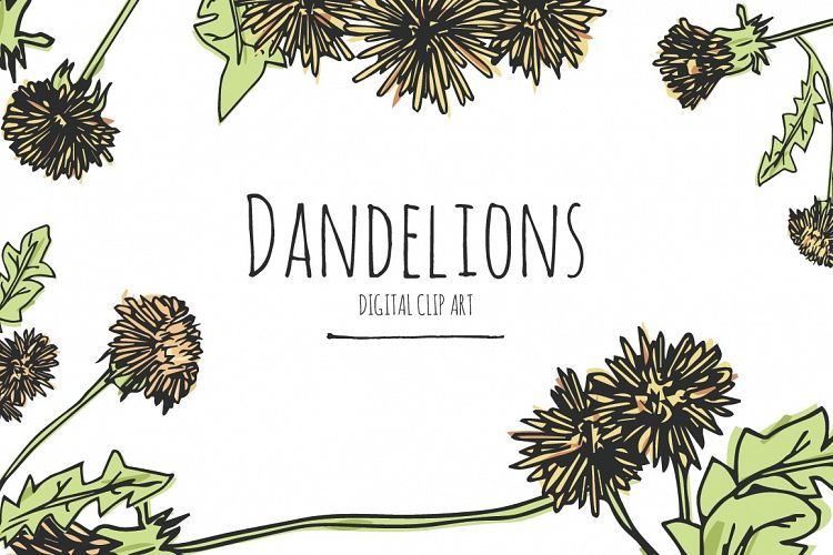 Dandelions - Digital Clip Art