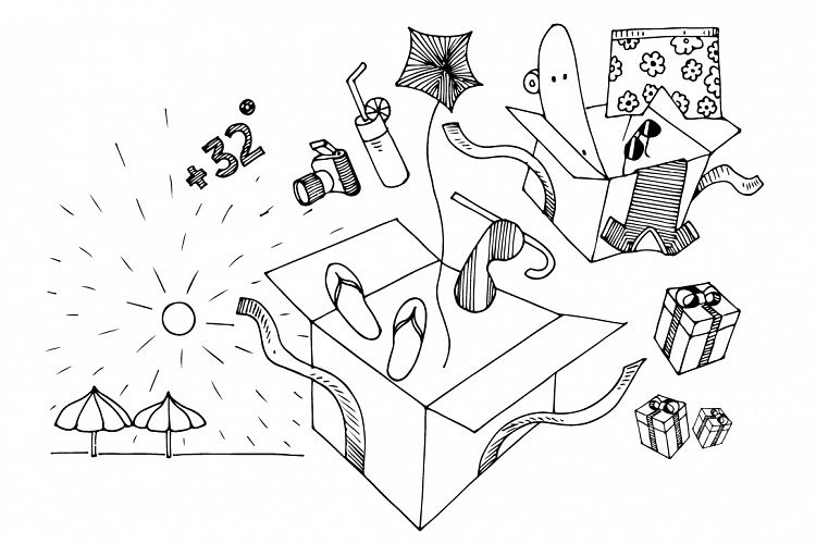 summer elements hand drawing vector