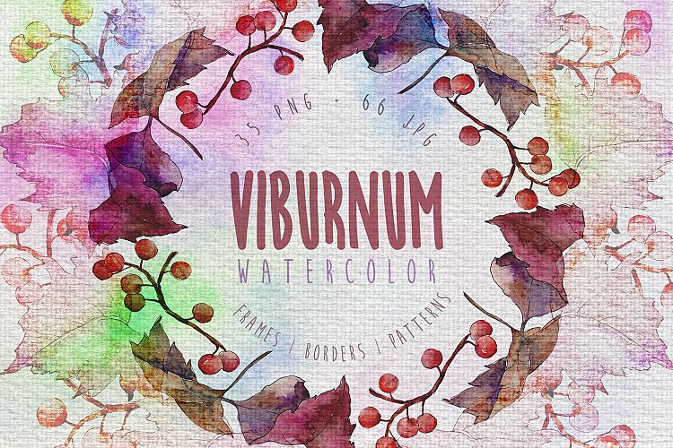 Autumn viburnum leaf PNG watercolor set