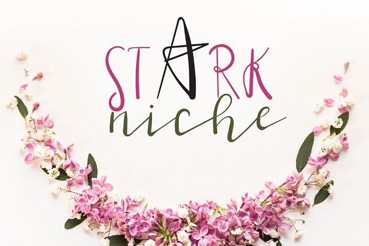 Stark Niche Script Font