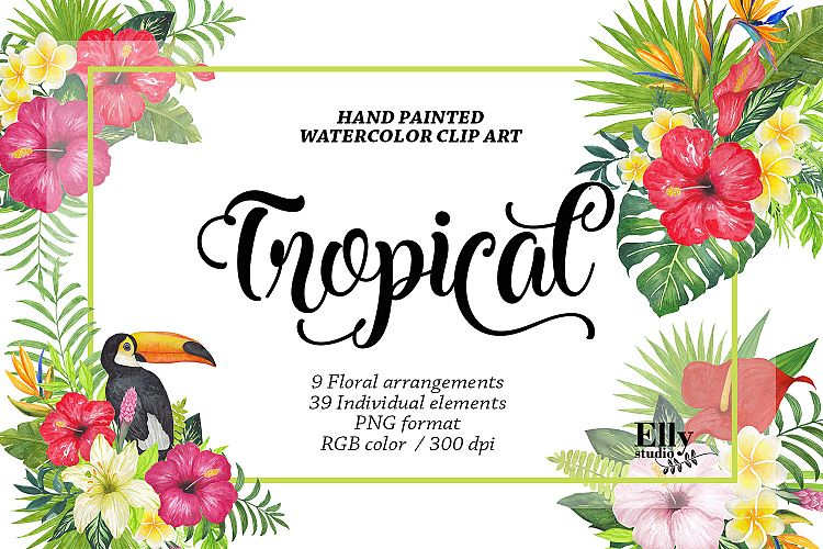 Watercolor Tropical Floral Clip Art