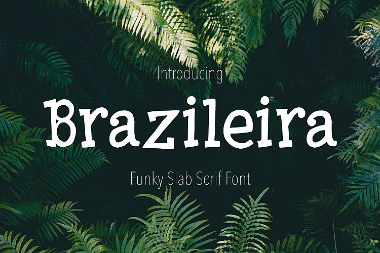 Brazileira - Slab Serif Font