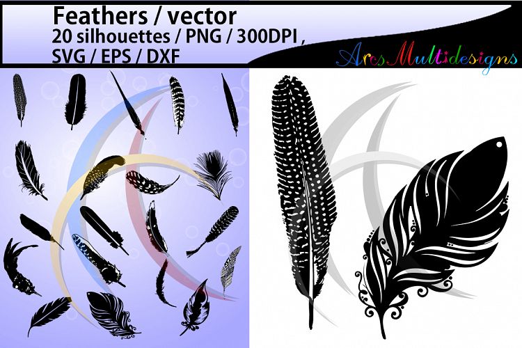 feather silhouette SVG / Feathers / feather clipart / layer base svg format available / 300 dpi / vector files / EPS / PNG /Dxf sets