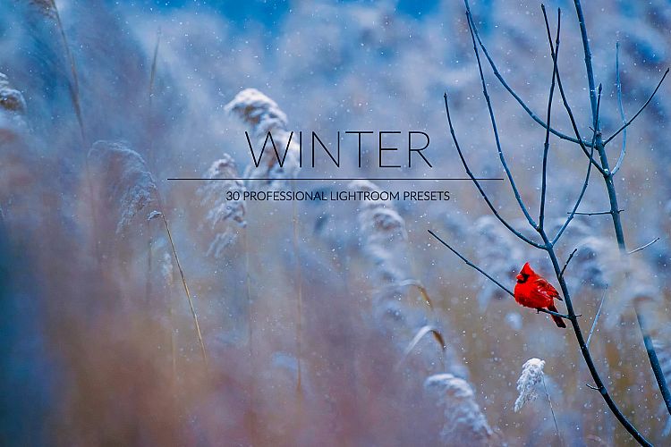 Winter Lr Presets